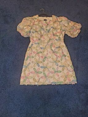 Ladies  Pastel Floral Appliqué Dress